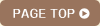 pagetop